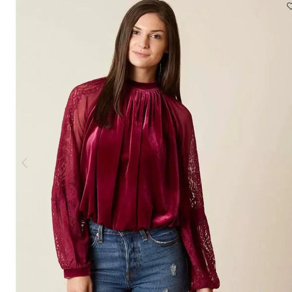 NWT Free People Raspberry Dream Team top, velvet with mesh sleeves & embroidery - Picture 10 of 10